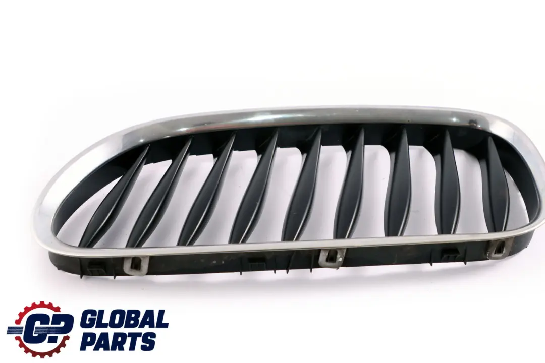 BMW Z4 E85 E86 Griglia Ornamentale SX Fahrzeugausstattung Cromo - SKU 7051957 - Numero di parte 7051957