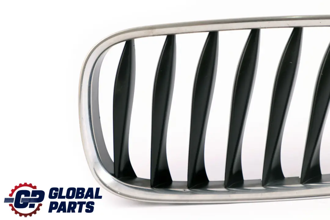 BMW Z4 E85 E86 Griglia Ornamentale SX Fahrzeugausstattung Cromo - SKU 7051957 - Numero di parte 7051957