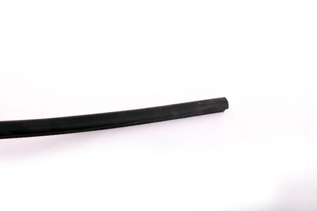 BMW Z4 Frontale Chiusura Ermetica Lembo Anteriore Frontale - SKU 7053532 - Numero di parte 7053532