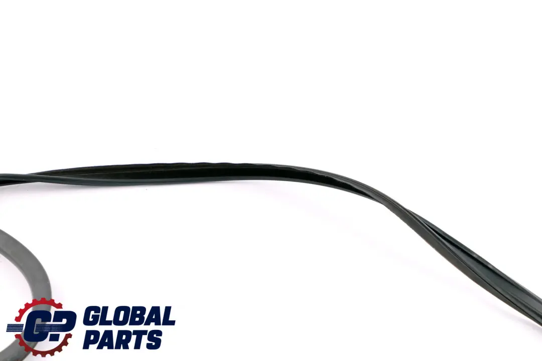 BMW E60 Junta Trasera Junta Puerta Techo Puerta Derecha - SKU 7057510 - Número de pieza 7057510