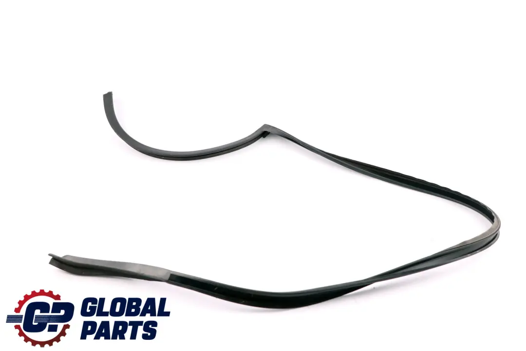 BMW E60 Junta Trasera Junta Puerta Techo Puerta Derecha - SKU 7057510 - Número de pieza 7057510