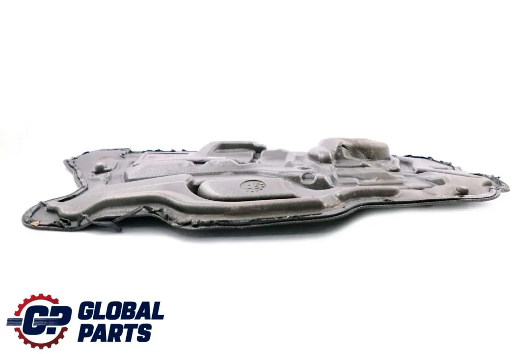 BMW 3 Series E90 E91 Sound Insulating Door Front Right - SKU 7060210 - Part number 7204350