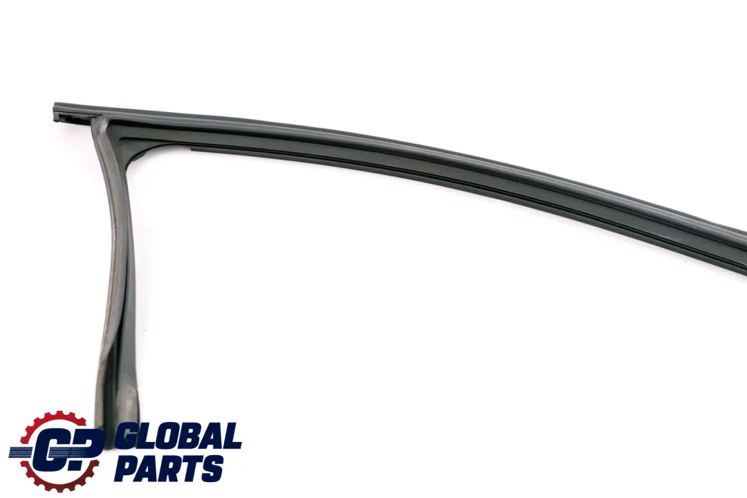 BMW 3 Series E90 E90N E91 E91N Window Guide Seal Right Front Door O/S - SKU 7060242 - Part number 7060242