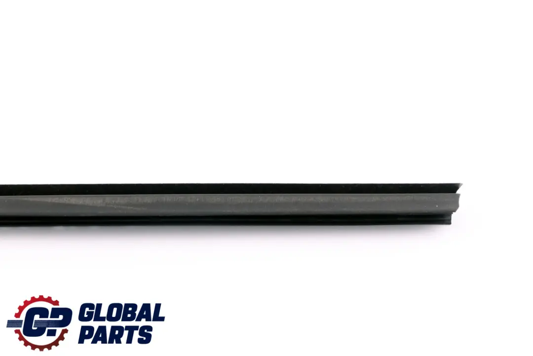  Door Inner Weatherstrip BMW E90 E90N Rear Left Black N/S - SKU 7060247 - Part number 7060247