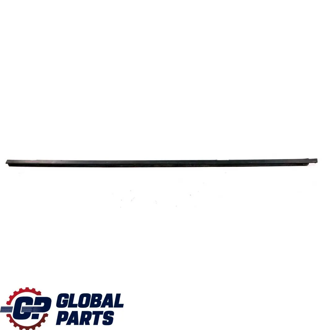 BMW E90 E90N Channel Cover Weather Strip Outer Door Rear Left N/S - SKU 7060249 - Part number 7060249