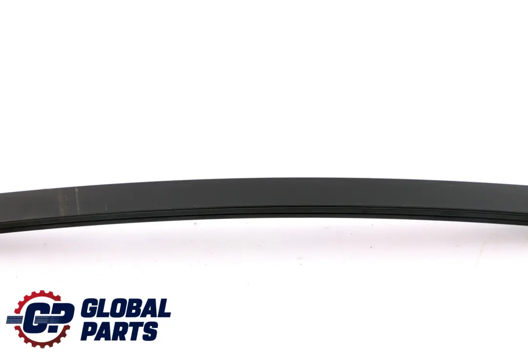 BMW 3 Series E90 E90N Window Guide Web Cover Rear Left Black Schwarz N/S - SKU 7060255 - Part number 51347060255