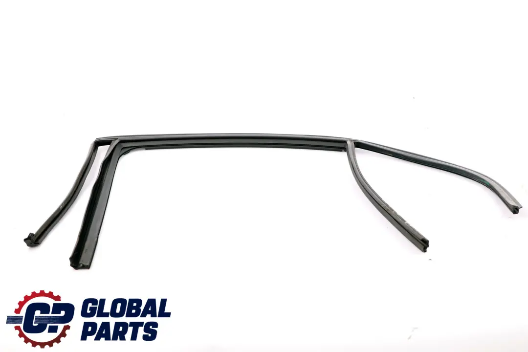 BMW 3 Series E90 E90N Window Guide Seal Gasket Left N/S Rear Door - SKU 7060257 - Part number 7060257