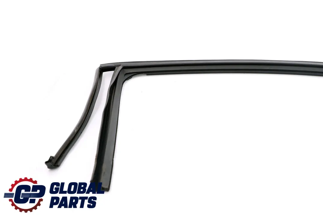 BMW 3 Series E90 E90N Window Guide Seal Gasket Left N/S Rear Door - SKU 7060257 - Part number 7060257