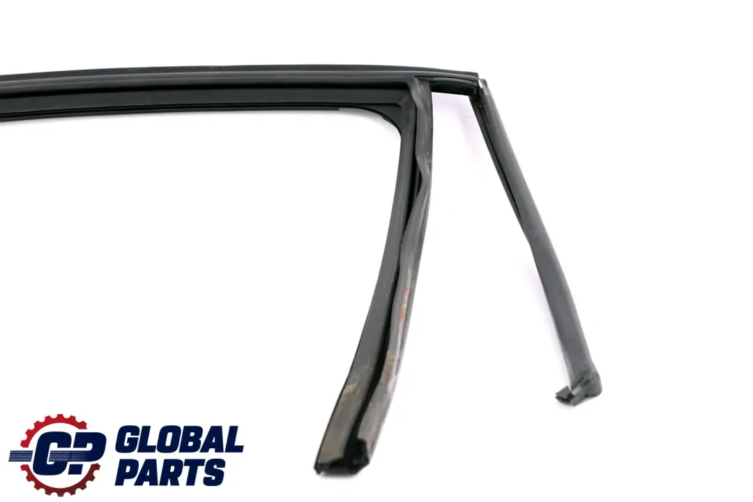 BMW 3 Series E90 E90N Window Guide Seal Right Rear Door O/S - SKU 7060258 - Part number 7060258