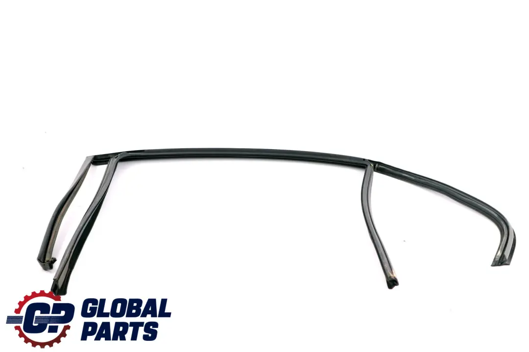 BMW 3 Series E90 E90N Window Guide Seal Right Rear Door O/S - SKU 7060258 - Part number 7060258
