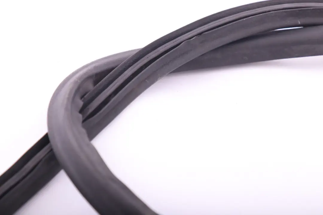 Chiusura Ermetica Aggregateraum Frontale per BMW E81 E82 E87 E87N E88 con numero di parte 7060562 BMW E81 E82 E87 E87N E88 Chiusura Ermetica Aggregateraum Frontale - SKU 7060562 - Numero di parte 7060562