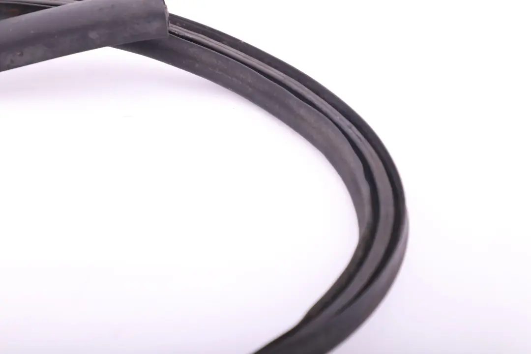 Chiusura Ermetica Aggregateraum Frontale per BMW E81 E82 E87 E87N E88 con numero di parte 7060562 BMW E81 E82 E87 E87N E88 Chiusura Ermetica Aggregateraum Frontale - SKU 7060562 - Numero di parte 7060562