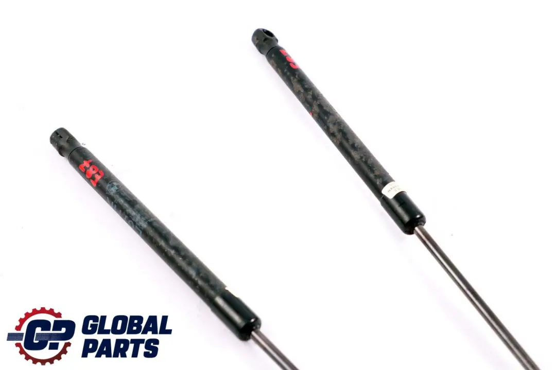 BMW 1 Series E81 E87 E87N Complete Gas Pressurized Spring Trunk Lid Set - SKU 7060622 - Part number 7060622