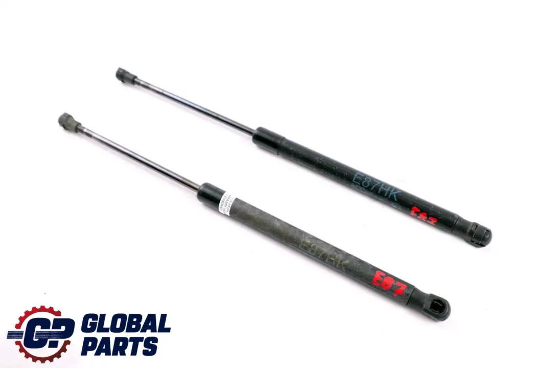 BMW 1 Series E81 E87 E87N Complete Gas Pressurized Spring Trunk Lid Set - SKU 7060622 - Part number 7060622