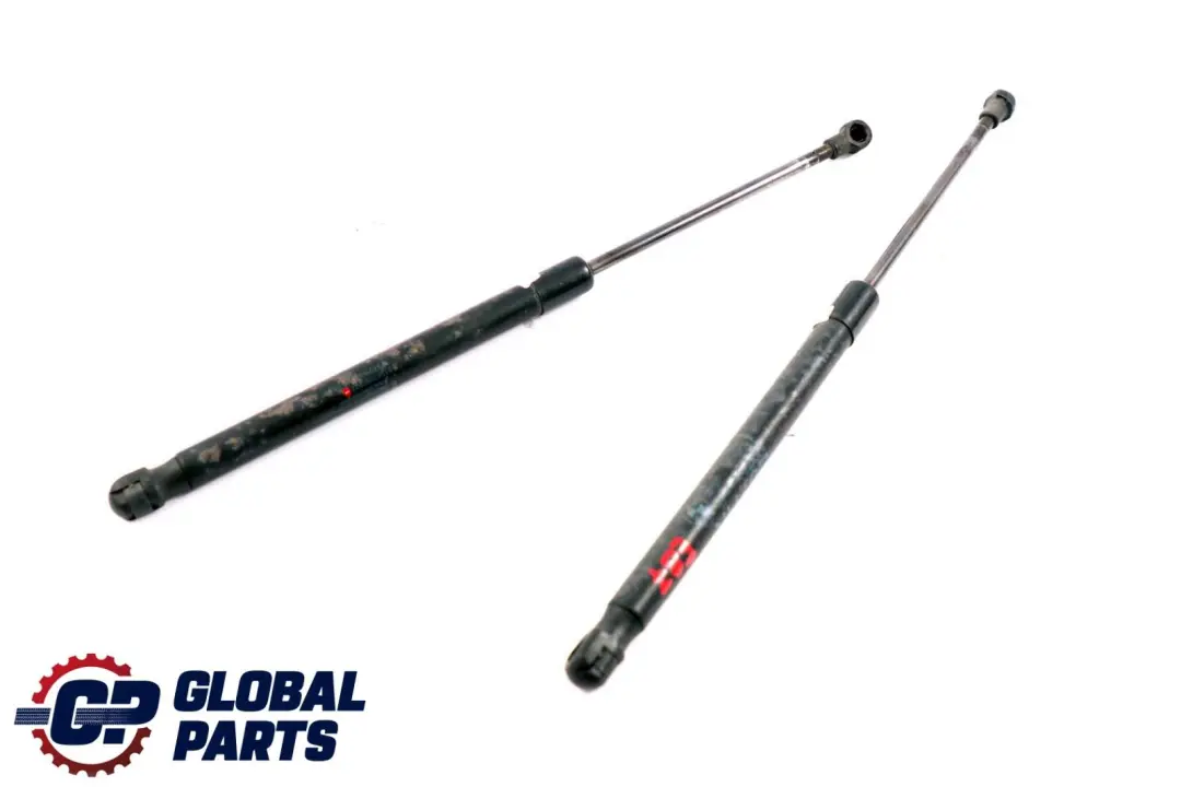 BMW 1 Series E81 E87 E87N Complete Gas Pressurized Spring Trunk Lid Set - SKU 7060622 - Part number 7060622