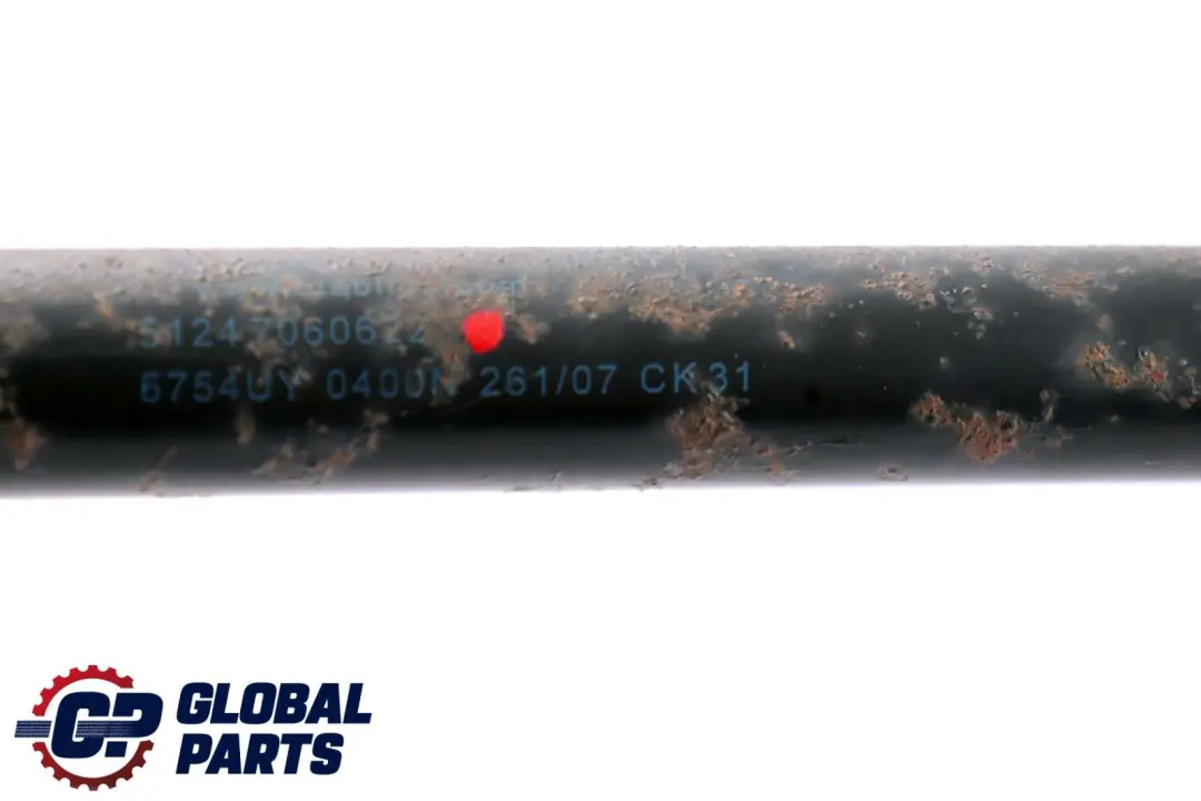BMW E87 E87N Juego Completo Maletero con Resorte Gas Presion - SKU 7060622 - Número de pieza 7060622
