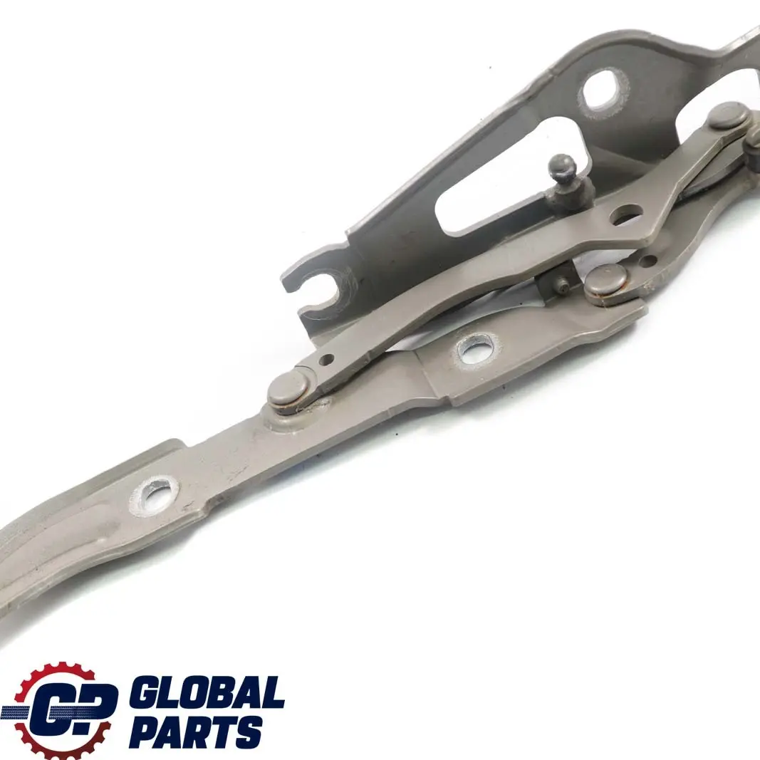 Cerniera Posteriore Sinistra Baule Portellone Bronzo Platinbronzo per BMW E90 E92 con numero di parte 7060627 BMW E90 E92 Cerniera Posteriore Sinistra Baule Portellone Bronzo Platinbronzo - SKU 7060627-PB - Numero di parte 7060627