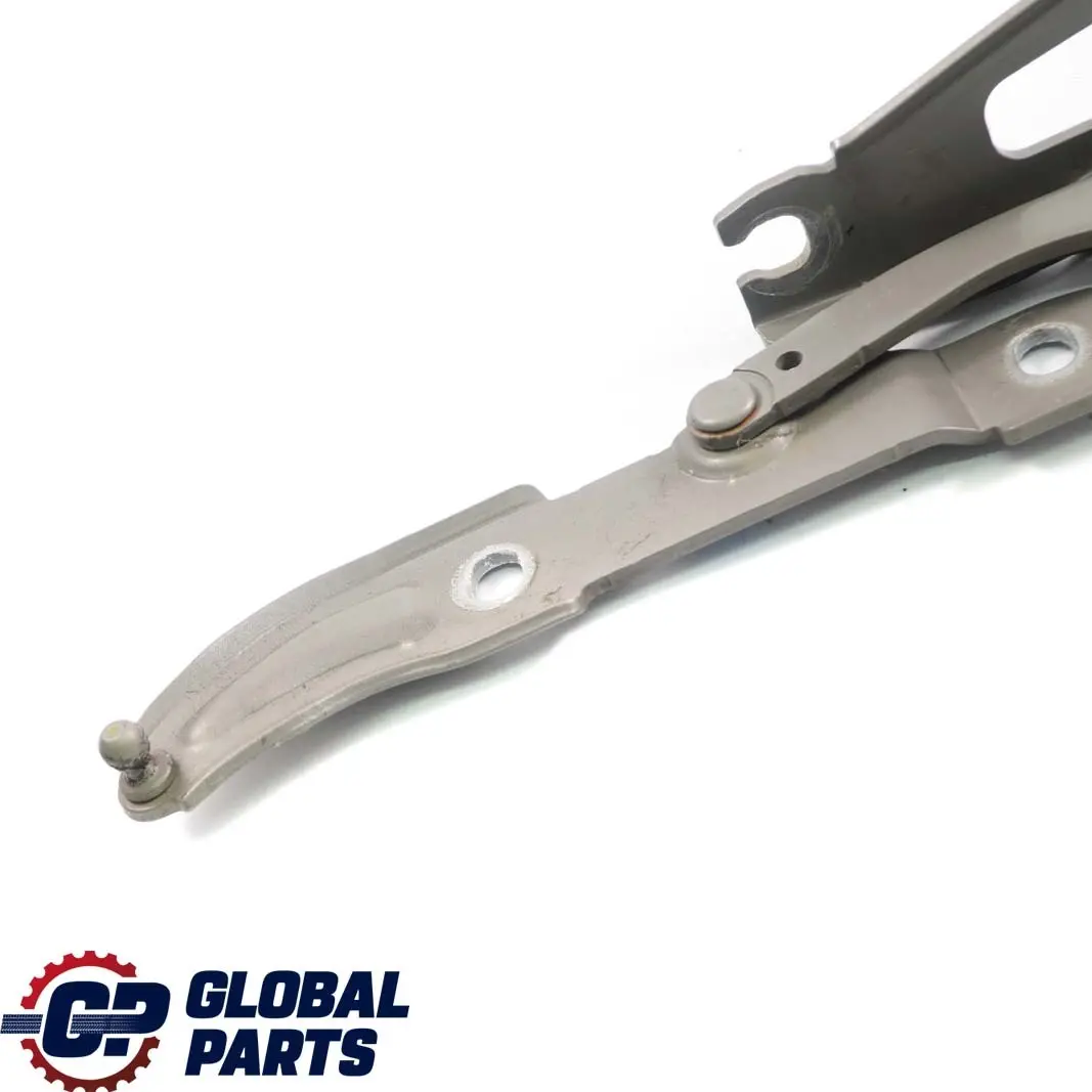 Cerniera Posteriore Sinistra Baule Portellone Bronzo Platinbronzo per BMW E90 E92 con numero di parte 7060627 BMW E90 E92 Cerniera Posteriore Sinistra Baule Portellone Bronzo Platinbronzo - SKU 7060627-PB - Numero di parte 7060627