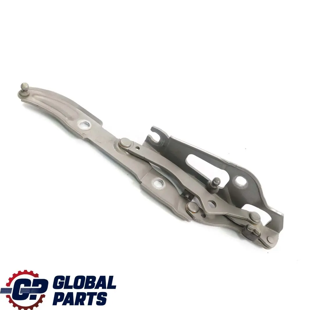 BMW E90 E92 trasera izquierda maletero bisagra Boot Tailgate Platinbronze Bronce - SKU 7060627-PB - Número de pieza 7060627