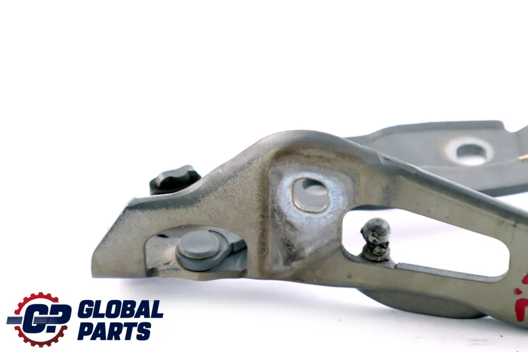 BMW E90 E92 Cardine Portellone SX Grigio Space Metallizzato - A52 Grigio - SKU 7060627-SCG - Numero di parte 7060627