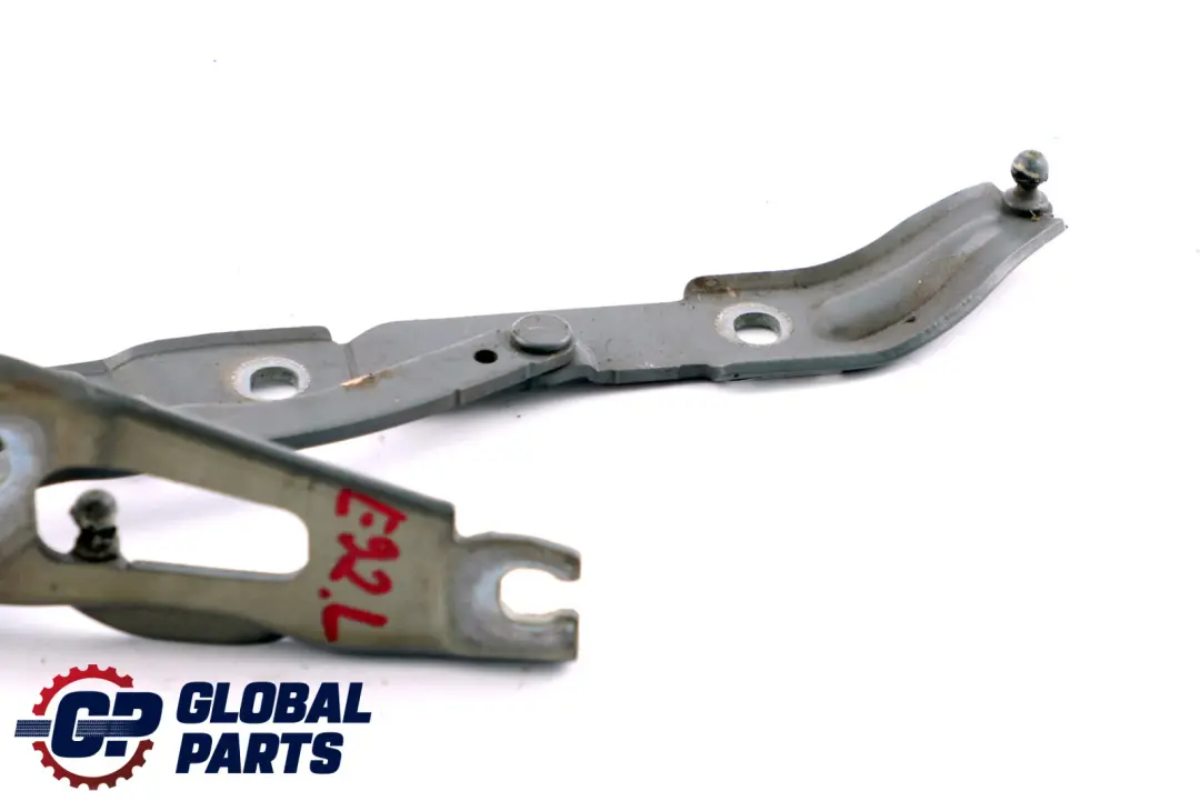 Cardine Portellone SX Grigio Space Metallizzato - A52 Grigio per BMW E90 E92 con numero di parte 7060627 BMW E90 E92 Cardine Portellone SX Grigio Space Metallizzato - A52 Grigio - SKU 7060627-SCG - Numero di parte 7060627