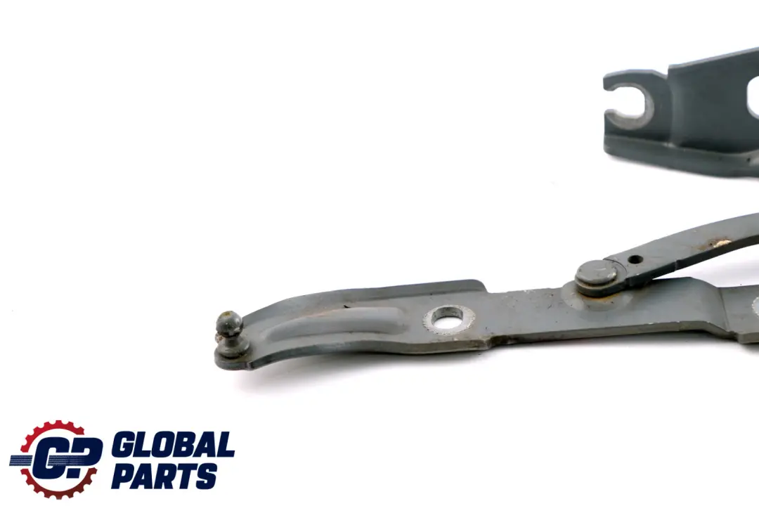 BMW E90 E92 Cardine Portellone SX Grigio Space Metallizzato - A52 Grigio - SKU 7060627-SCG - Numero di parte 7060627