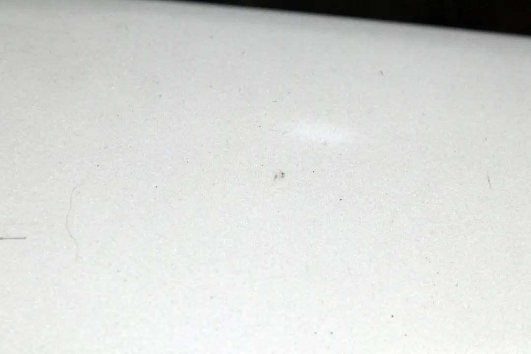 Spoiler posteriore portellone bagagliaio Touring Titansilber Silver 354 per BMW E61 con numero di parte 7061467 BMW E61 Spoiler posteriore portellone bagagliaio Touring Titansilber Silver 354 - SKU 7061467-TS2 - Numero di parte 7061467