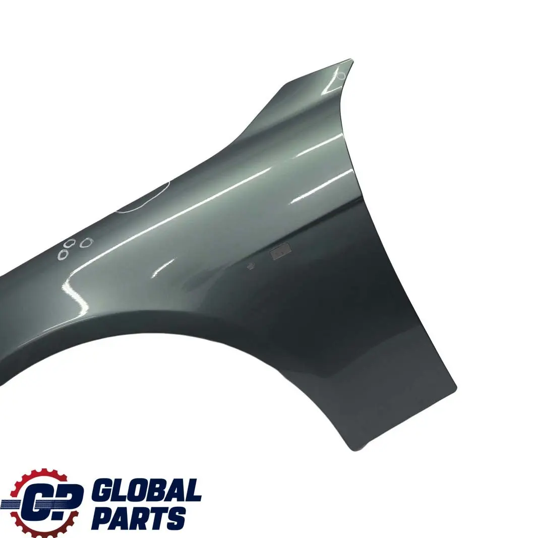 Pannello Laterale Frontale SX Parafango Schiefergruen Verde - 449 per BMW E65 E66 con numero di parte 7061661 BMW E65 E66 Pannello Laterale Frontale SX Parafango Schiefergruen Verde - 449 - SKU 7061661-SGM - Numero di parte 7061661