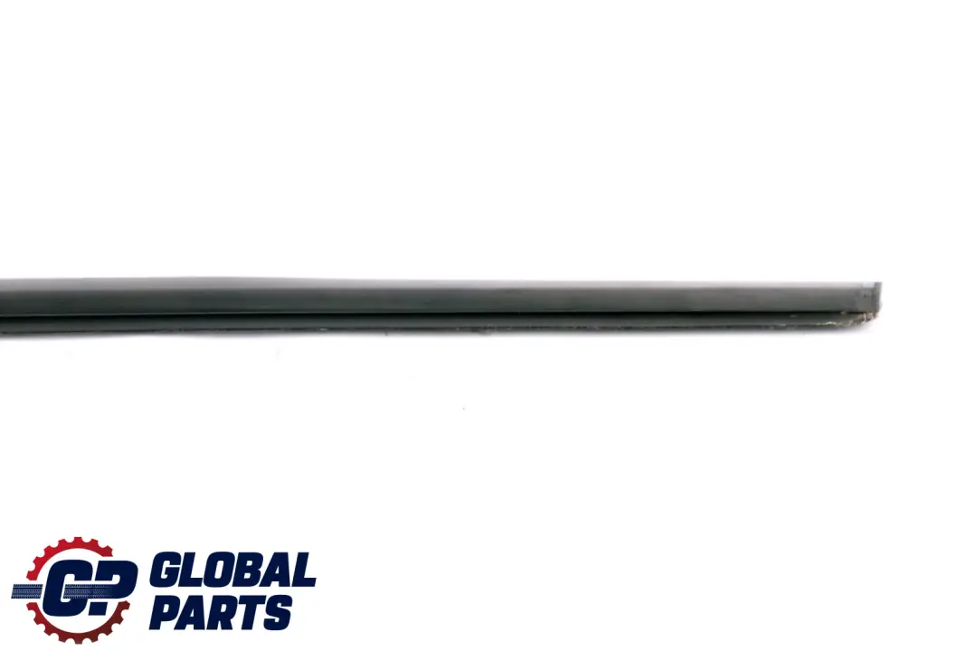 BMW E87 Channel Sealing Outside Seal Door Weatherstrip Front Left N/S - SKU 7066601 - Part number 7066601