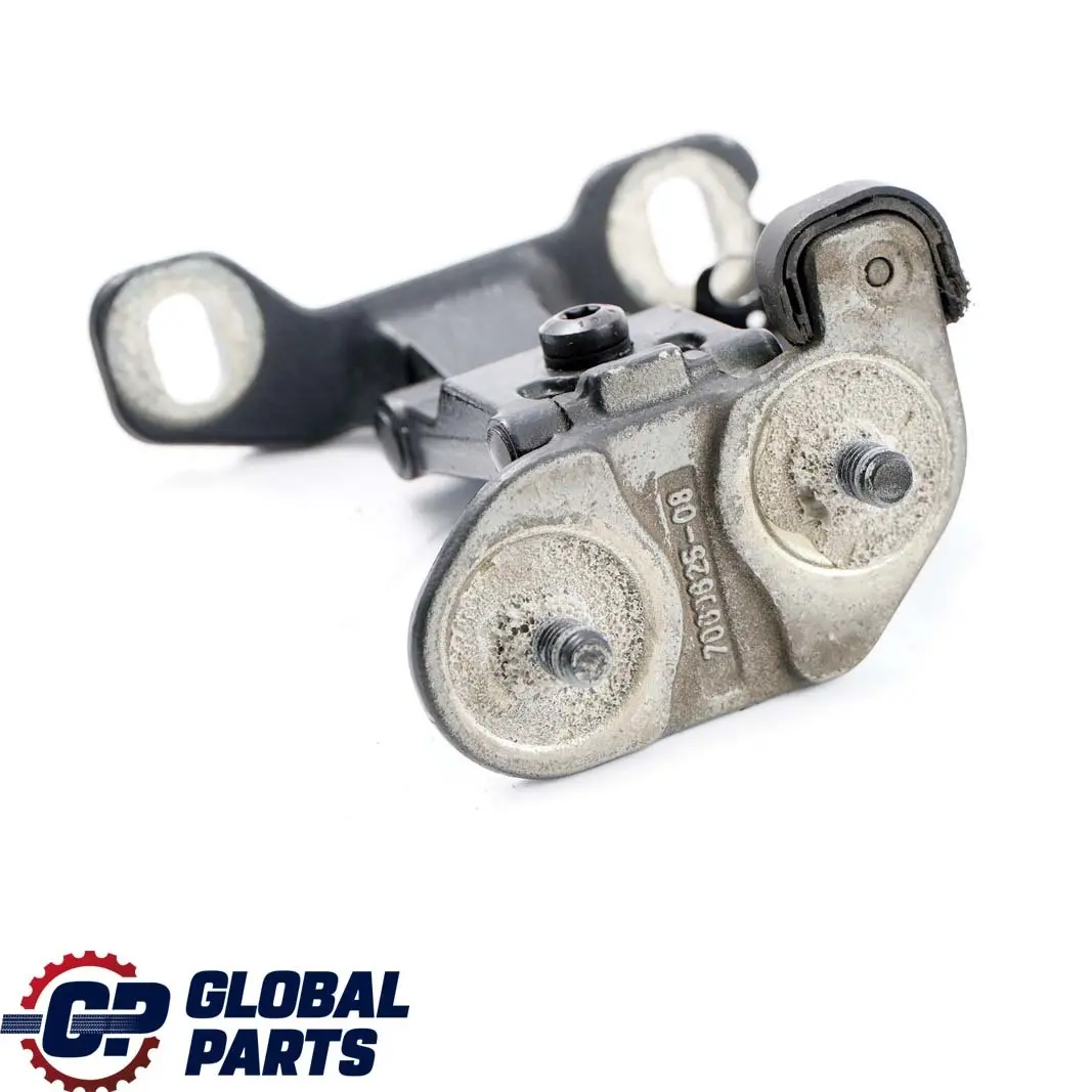 Cerniere Portellone Sinistro Bagagliaio Schwarz Nero 668 per BMW E81 E87 LCI con numero di parte 7067219 BMW E81 E87 LCI Cerniere Portellone Sinistro Bagagliaio Schwarz Nero 668 - SKU 7067219-SCH - Numero di parte 7067219