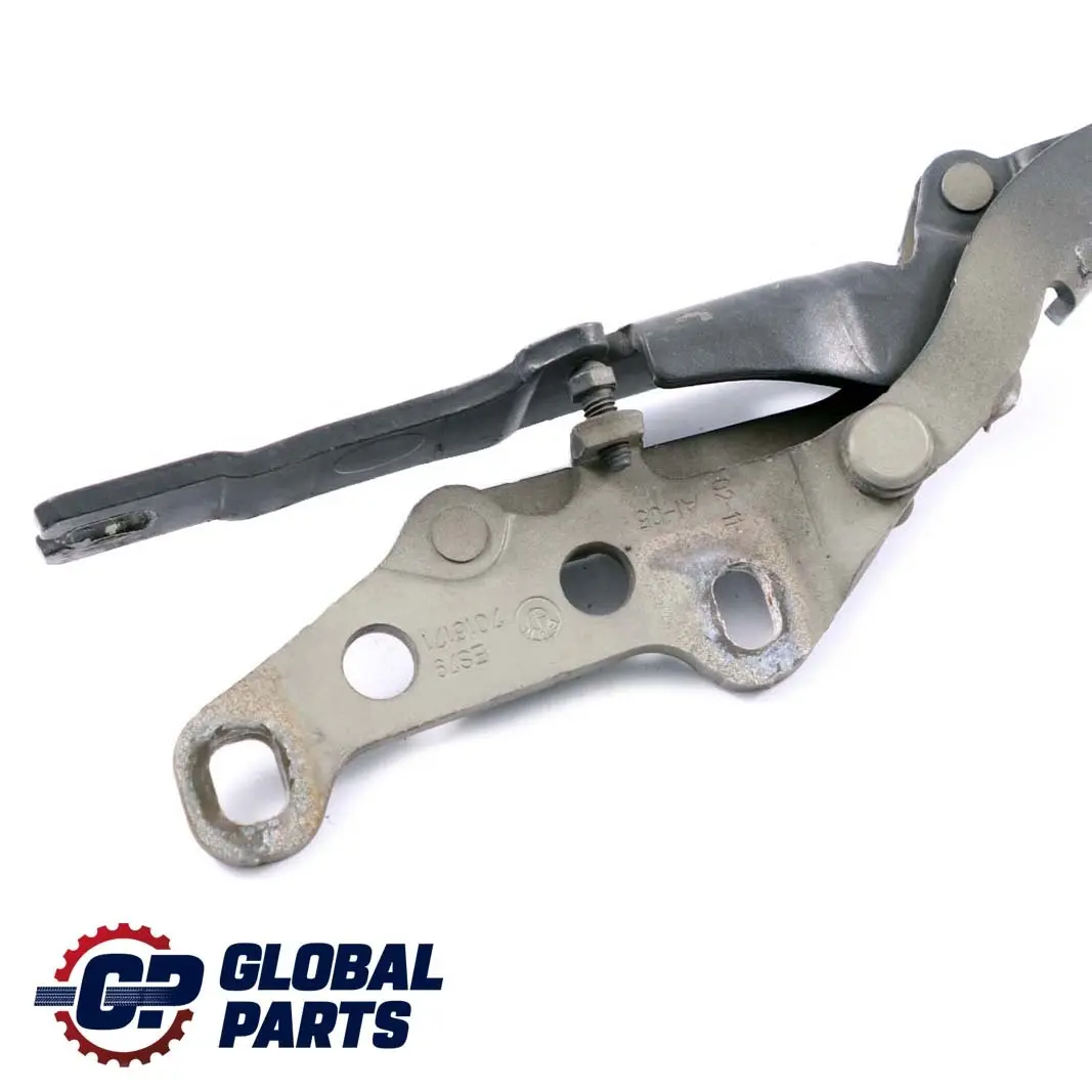 BMW Z4 E85 E86 Cardine Lembo Anteriore SX Grigio Argento 7016171 - SKU 7068279-STR - Numero di parte 7068279