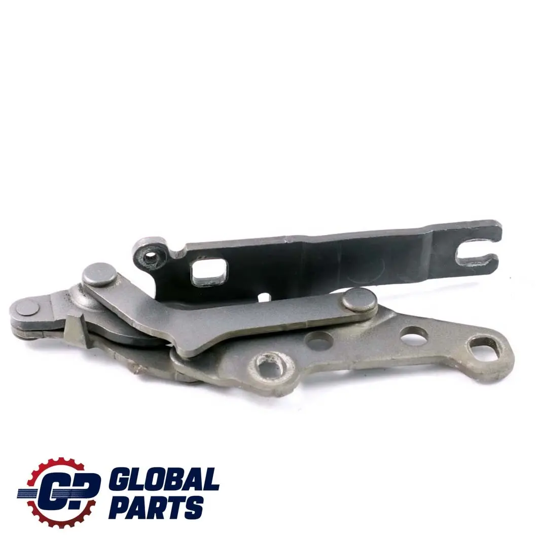 BMW Z4 E85 E86 Cardine Lembo Anteriore SX Grigio Argento 7016171