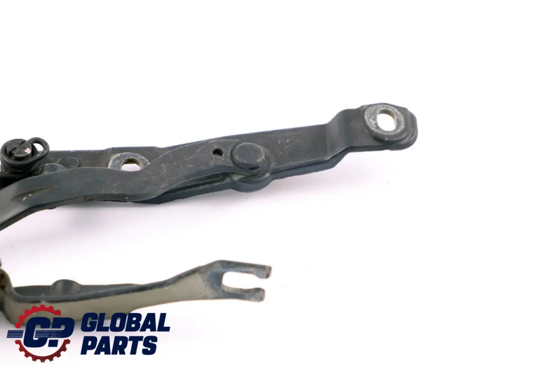 BMW Z4 E85 Cerniera Bagagliaio Posteriore Sinistra Toledoblau Blu 7016179 - SKU 7068281-TDB - Numero di parte 7068281