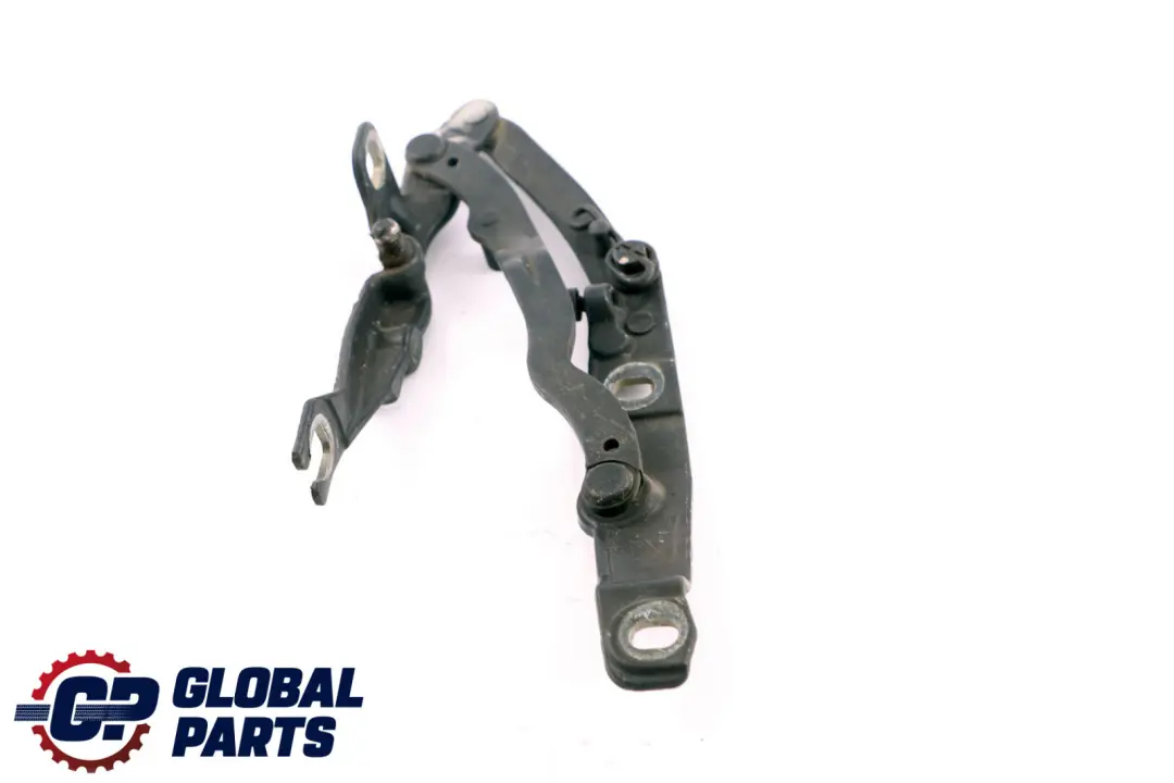 BMW Z4 E85 Cerniera Bagagliaio Posteriore Sinistra Toledoblau Blu 7016179 - SKU 7068281-TDB - Numero di parte 7068281
