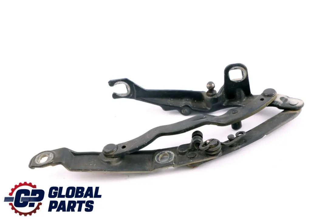 BMW Z4 E85 Cerniera Bagagliaio Posteriore Sinistra Toledoblau Blu 7016179 - SKU 7068281-TDB - Numero di parte 7068281