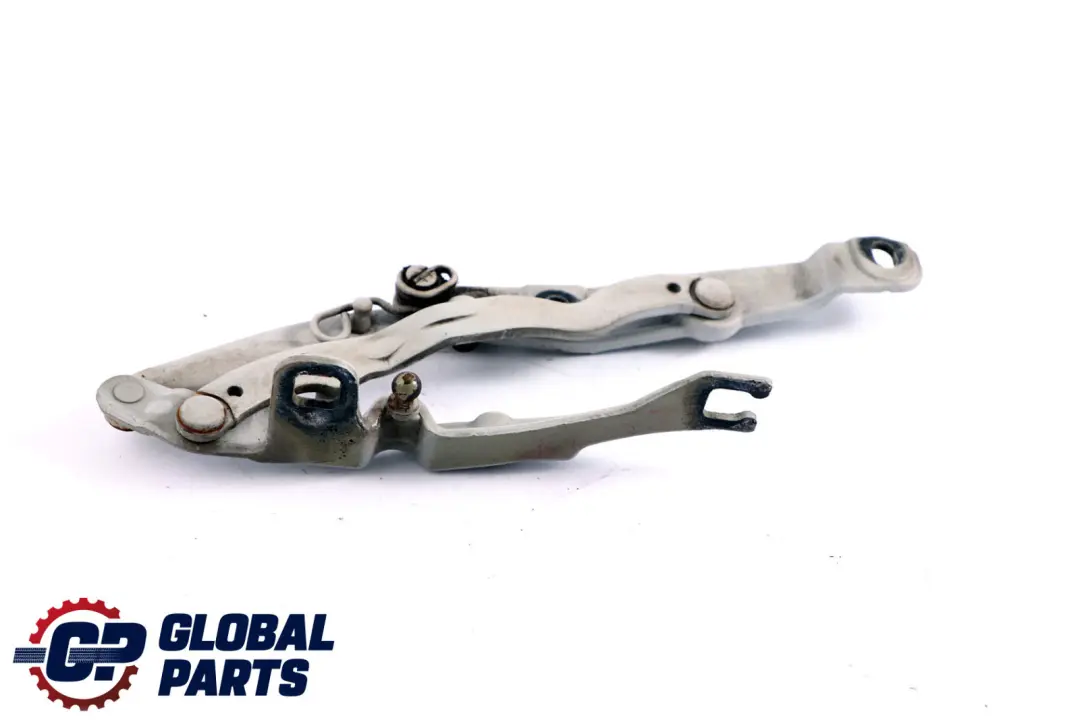 BMW Z4 E85 Cardine Portellone SX Argento-Titanio Argento Metallico 7016179 - SKU 7068281-TS - Numero di parte 7068281