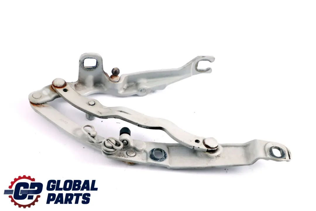 Cerniera Posteriore Coperchio Bagagliaio Titansilber 354 7016180 per BMW Z4 E85 con numero di parte 7068282 BMW Z4 E85 Cerniera Posteriore Coperchio Bagagliaio Titansilber 354 7016180 - SKU 7068282-TS - Numero di parte 7068282