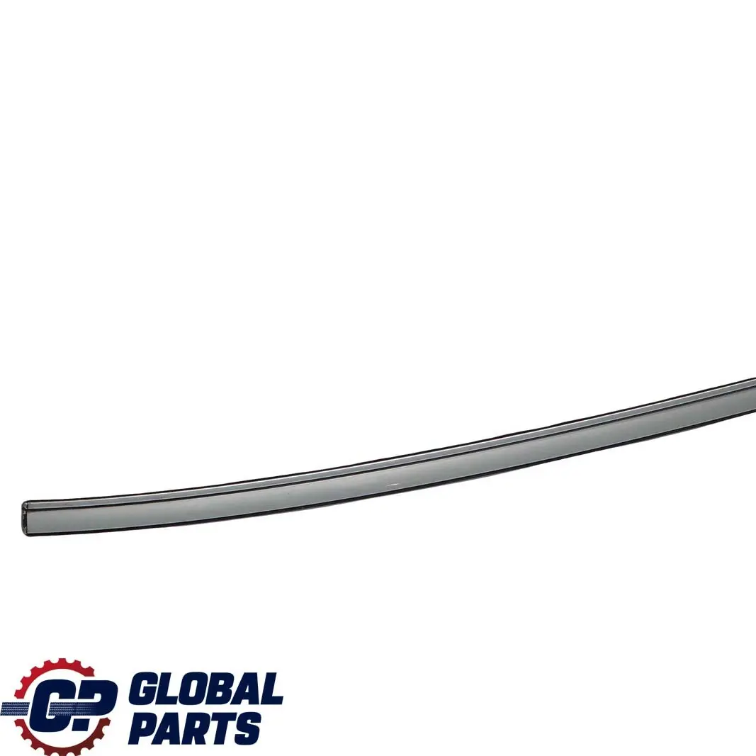 BMW 5 E60 Left Roof Moulding Railing Gutter Rail N/S Silverstone 2 - A29 - SKU 7070195-SIL - Part number 7070195