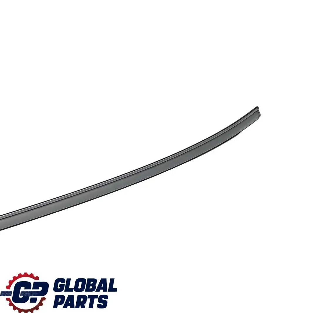 BMW 5 er E60 Zierleiste Dach Lackiert Links Silverstone 2 Metallic A29 - SKU 7070195-SIL - Teilenummer 7070195