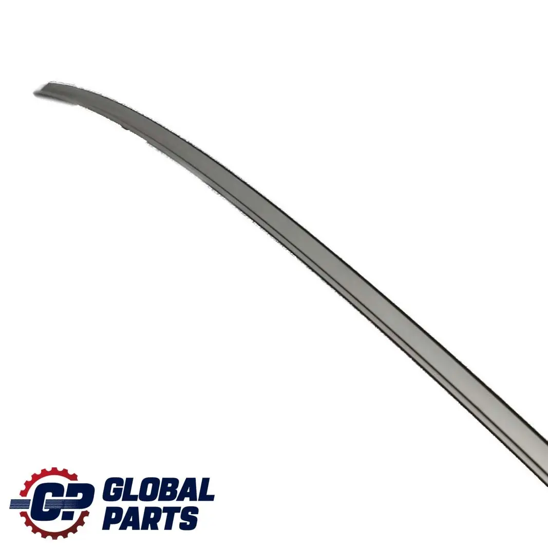 BMW 5 Series E60 E60N Left Roof Moulding Railing Gutter N/S Titansilber Silver - SKU 7070195-TS - Part number 7070195