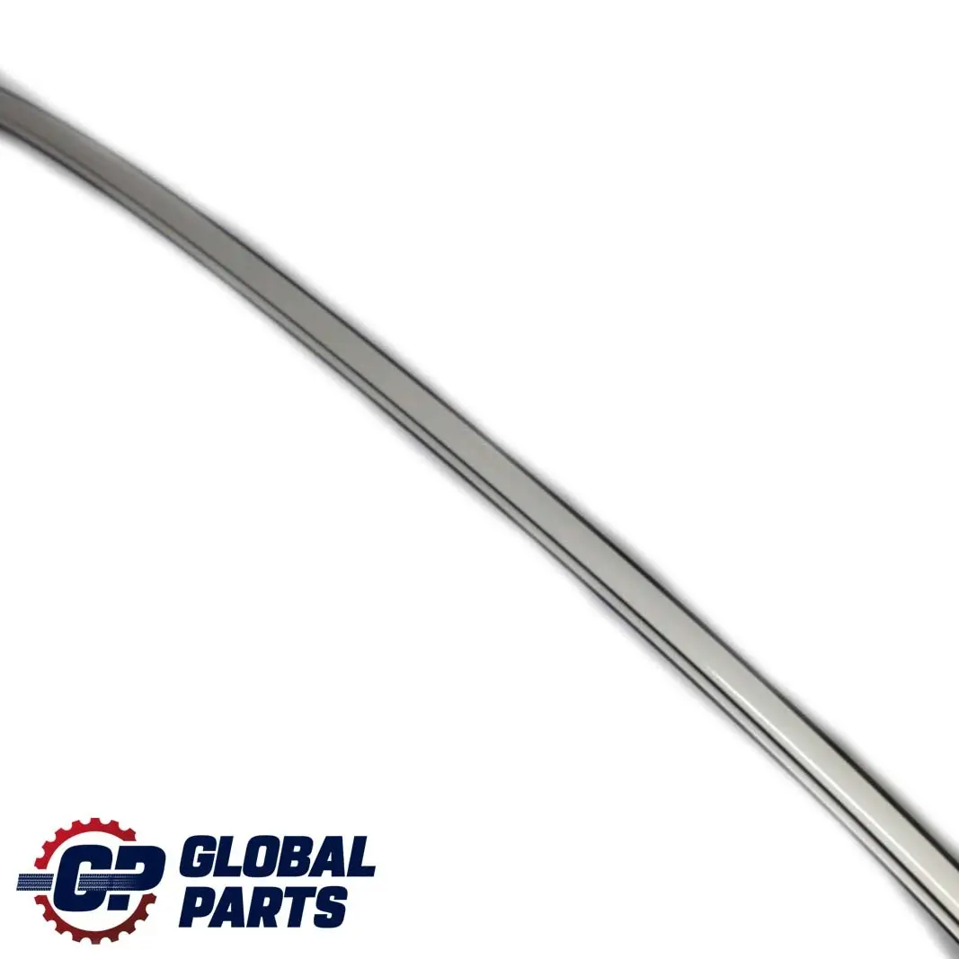 BMW E60 E60N Izquierda Techo Moldura Barandilla Canalón Titansilber Plata - SKU 7070195-TS - Número de pieza 7070195