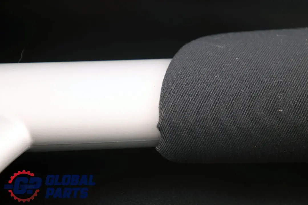 Mini Cooper R50 R53 Avant Gauche N/S Carte Porte Panneau Latéral Noir Panthère - SKU 7070597 - Numéro de pièce 7070597