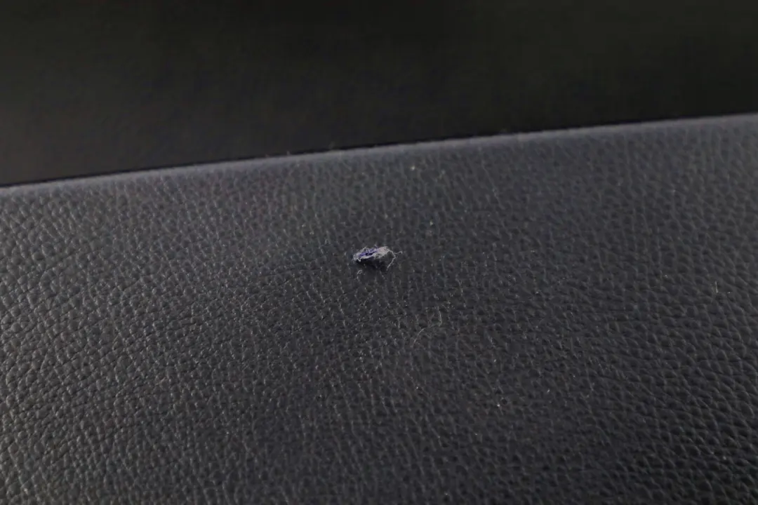 BMW E60 E61 Boczek Tapicerka Panel Drzwi Skóra Czarna Prawy Tył - SKU 7078742 - Numer Części 7078742