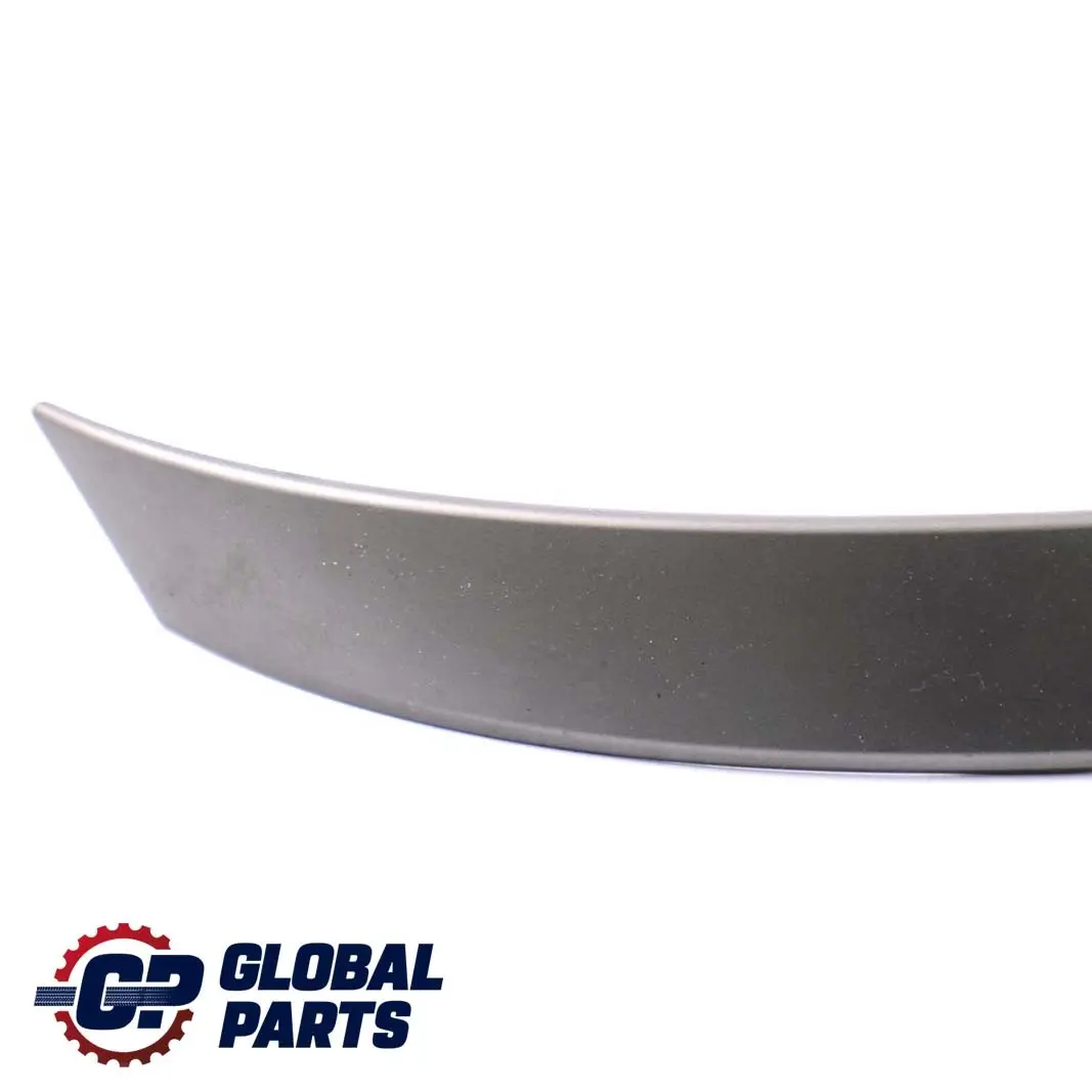 BMW E60 E61 Poignée supérieure Partie arrière gauche Titan II - SKU 7079441-1 - Numéro de pièce 7079441