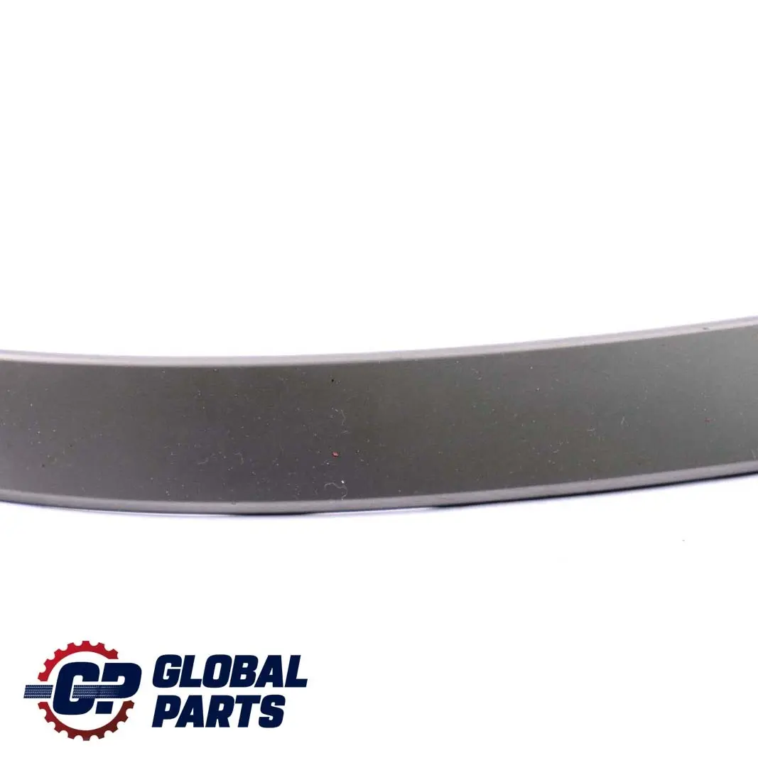 BMW E60 E61 Maniglia superiore parte posteriore sinistra Titan II Dunkel - SKU 7079441-1 - Numero di parte 7079441