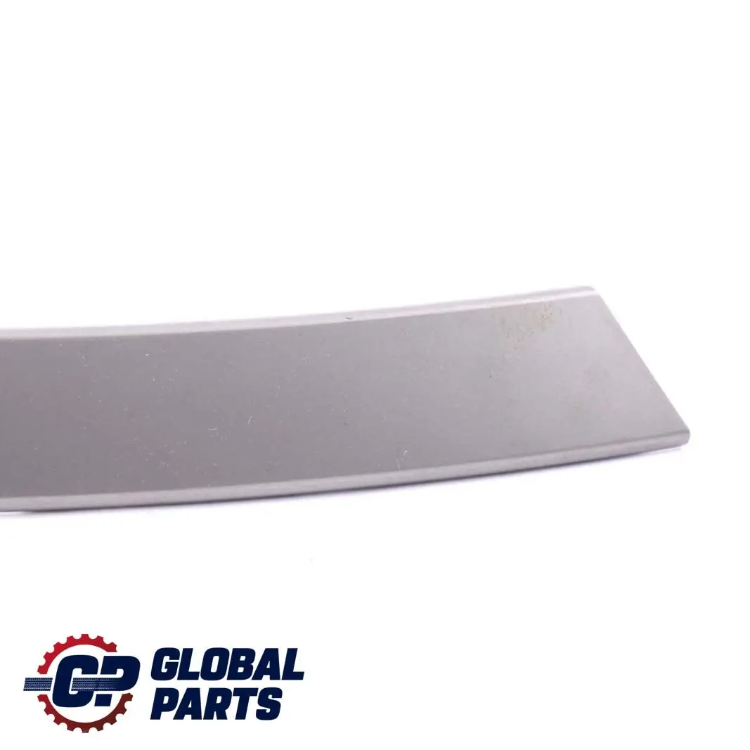 BMW E60 E61 Maniglia superiore parte posteriore sinistra Titan II Dunkel - SKU 7079441-1 - Numero di parte 7079441