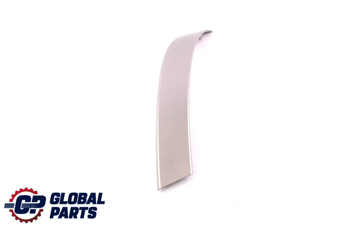  BMWE60 E61 Maniglia Parte Superiore Posteriore Sinistra Titan II Dunkel - SKU 7079441 - Numero di parte 7079441