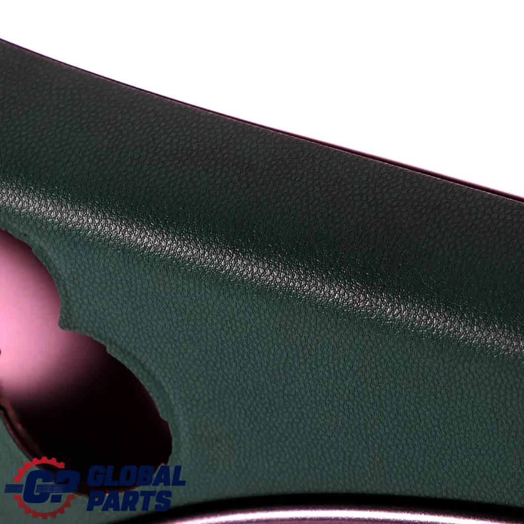 Mini Cooper R50 Front Right O/S Door Card Side Trim Emerald Green Anthracite - SKU 7113438 - Part number 7113438