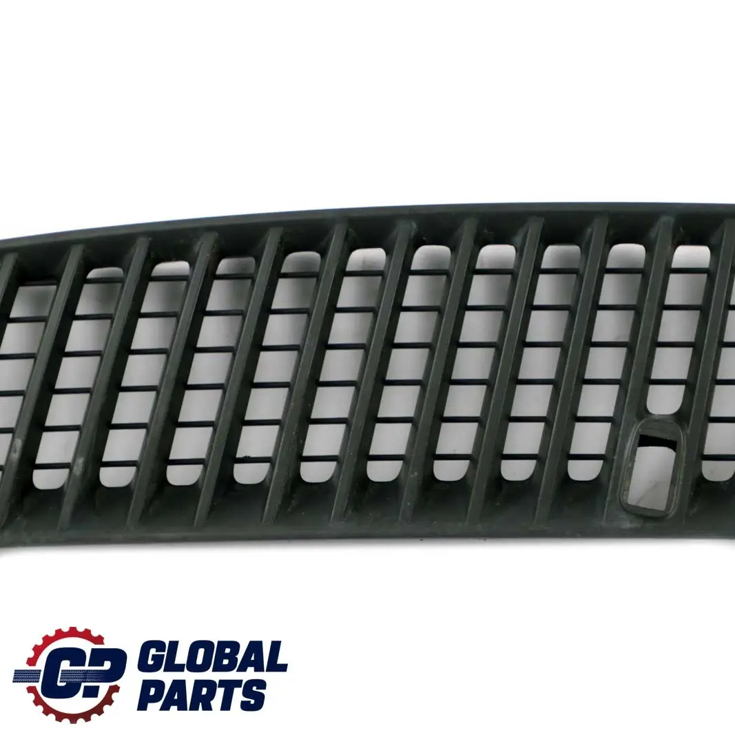 BMW E53 Capo Hoja Parrilla Rejilla Delantera Izquierda Negro - SKU 7113731 - Número de pieza 7113731