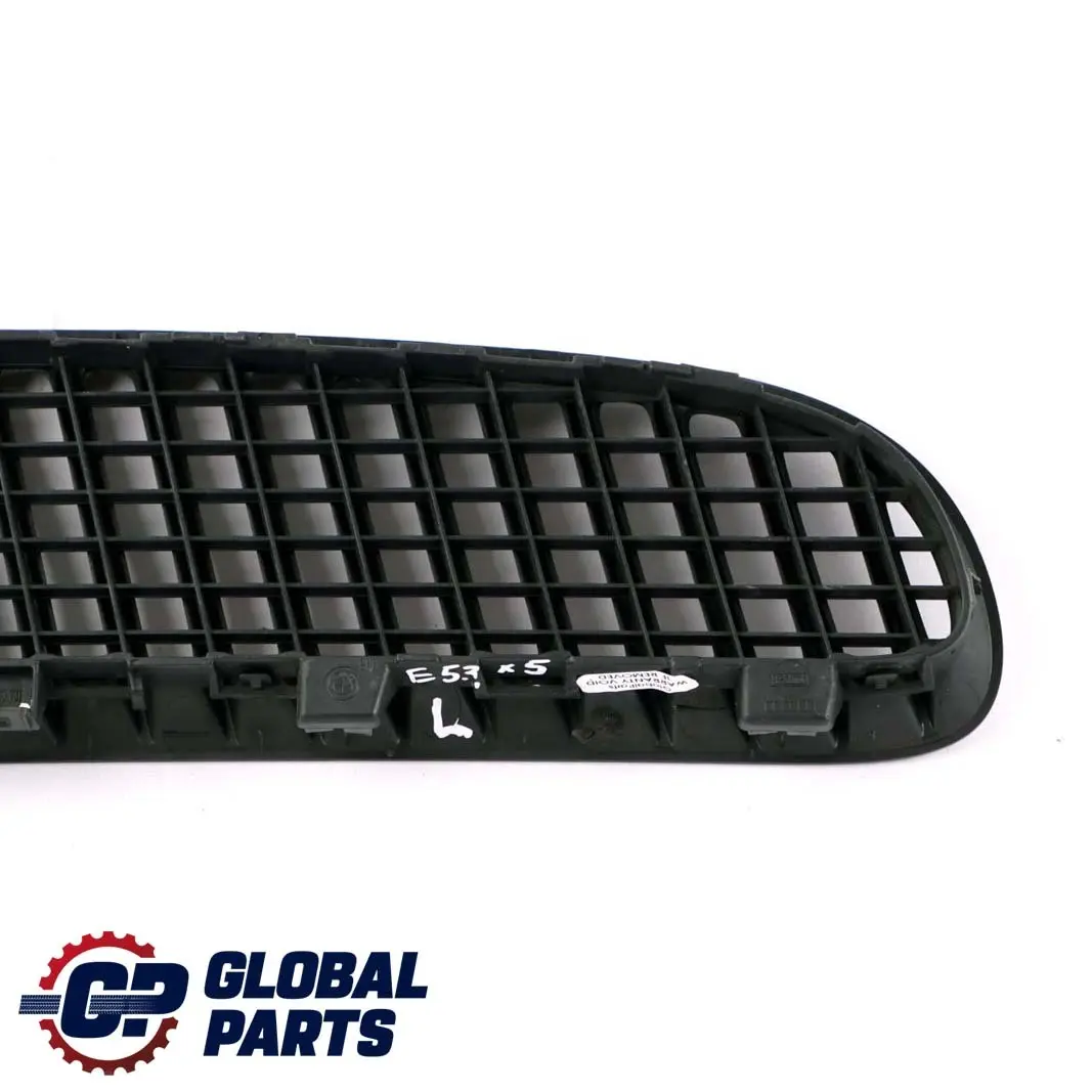 Cofano Motore Griglia A Foglia Anteriore Sinistra Nero per BMW X5 E53 con numero di parte 7113731 BMW X5 E53 Cofano Motore Griglia A Foglia Anteriore Sinistra Nero - SKU 7113731 - Numero di parte 7113731